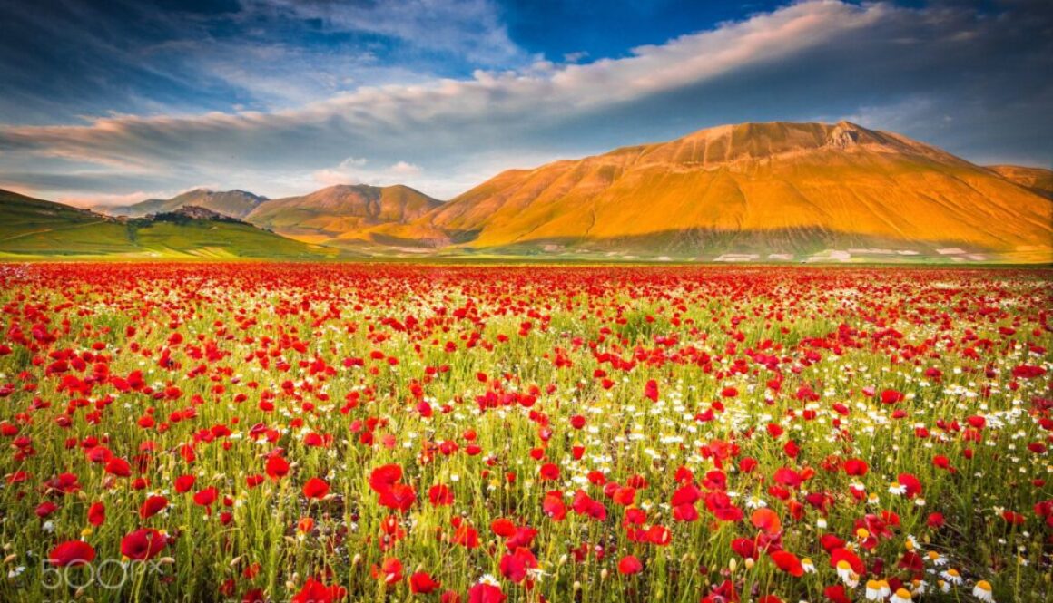 castelluccio di norcia (2)